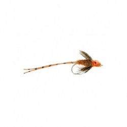 Pike carp crack brown carp $6.80