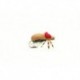 Terrestrials beetle foam $2.99
