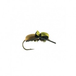 Terrestrials beetle japanese $2.99