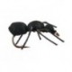 Terrestrials Black Ant $2.99