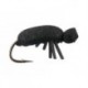 Terrestrials Black Beetle $2.99