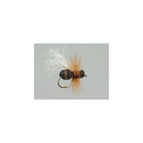 Terrestrials Brown Ant Hf $2.99