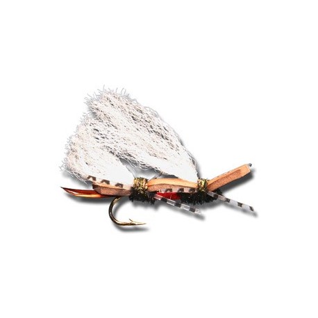 Terrestrials Chubby Chernobyl Royal $2.99