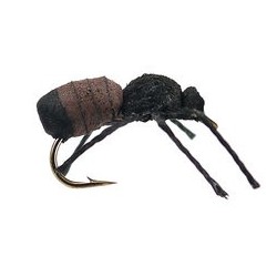 Terrestrials Cinnamon Ant $2.99