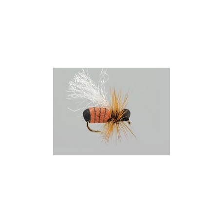 Terrestrials Cinnamon Ant Hf $2.99