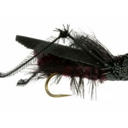 Terrestrials Cricket (Black) $2.99