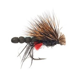 Terrestrials fly new placeholder $2.99