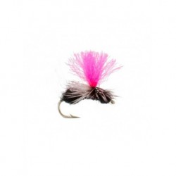 Terrestrials Flying Black Ant Foam $2.99