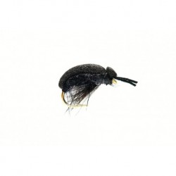 Terrestrials Foam Beetle (Carnhill's) $2.99