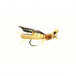 Terrestrials Grasshopper $2.99