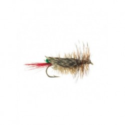 Terrestrials hopper joe s green $2.99