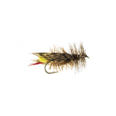 Terrestrials hopper joes $2.99