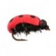 Terrestrials Lady Bug Foam $2.99