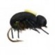 Terrestrials Peacock Beetle $2.99