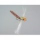 Terrestrials Realistic Foam Dragonfly Brown $2.99
