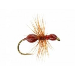 Terrestrials Transpar Ant (Red) $2.99