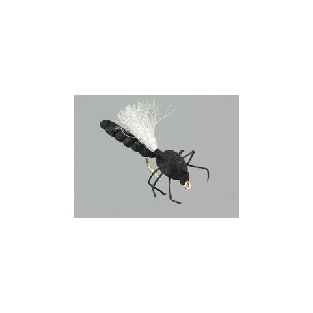 Terrestrials Hawthorn $2.99