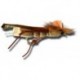 Terrestrials Hi Vis Foam Hopper Olive $2.99