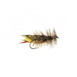 Terrestrials hopper joes $2.99