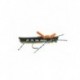 Terrestrials hopper tan $2.99