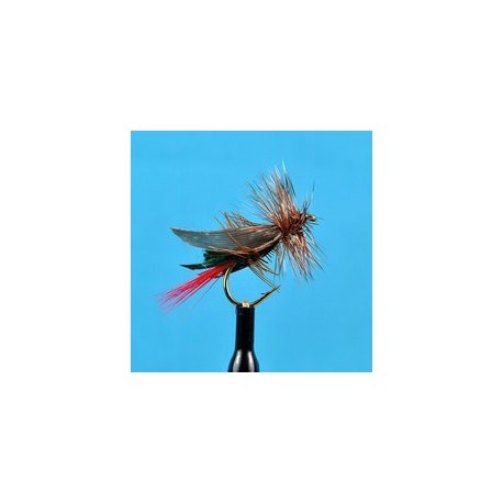 Terrestrials Joe's Hopper Green $2.99