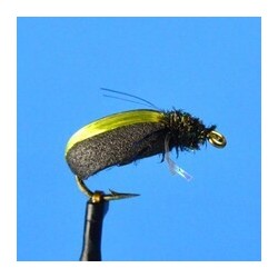 Terrestrials Kiwi Beetle $2.99