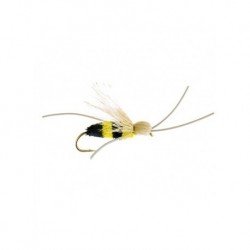 Terrestrials madam bee $2.99