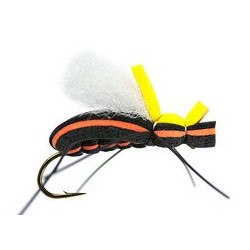 Terrestrials Mauro Raspinis Escarabajo Orange $2.99