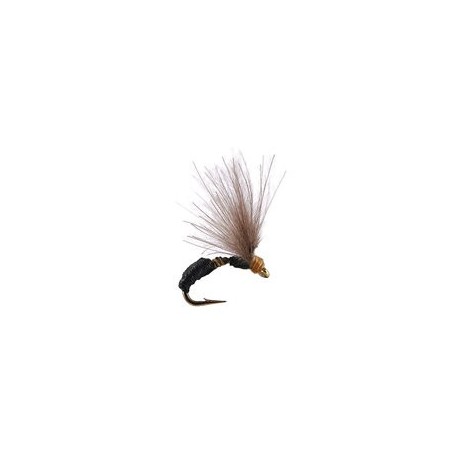 Terrestrials Smooth Black Brown Ant $2.99