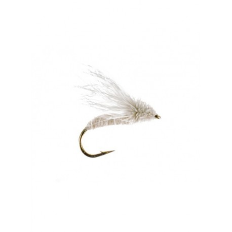 Terrestrials spruce moth $2.99