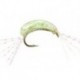 Czech Nymps and Gamarus gammarus epoxy natural green flash $2.34