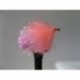 Fab Trout Flies biscuit and marshmallow pink jelly fab $2.34