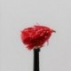 Fab Trout Flies blood red fab blob $2.34