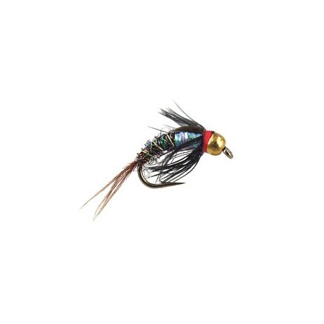 Tungsten Nymphs Ales TG Rainbow Pheasant $3.00