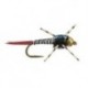 Tungsten Nymphs bh rl epoxy bob zebra $3.00