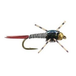 Tungsten Nymphs bh rl epoxy bob zebra $3.00