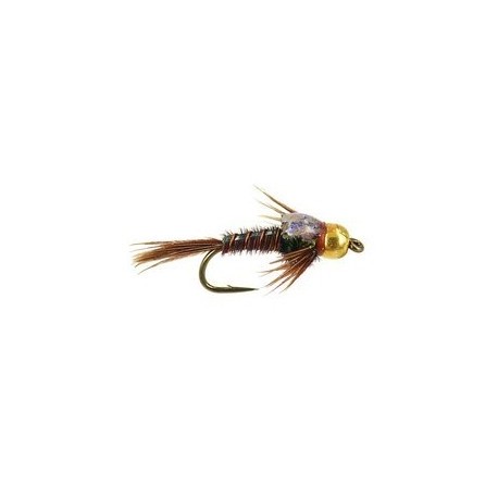 Tungsten Nymphs bh sparkle back pheasant tail $3.00