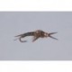 Tungsten Nymphs Brown Epoxyback Stone  TNG WTD $3.00