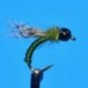 Tungsten Nymphs Caddis Emerger $3.00