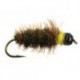Tungsten Nymphs classic tg peeping caddis $3.00