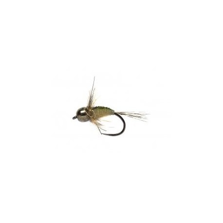 Tungsten Nymphs Latex Nymph $3.00