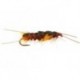 Beaded Nymphs Giant Orange Stonefly $2.42