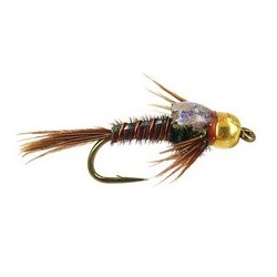 Tungsten Nymphs tg bh sparkle back pheasant tail $3.00