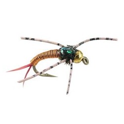 Tungsten Nymphs tg epoxy back copper classic $3.00