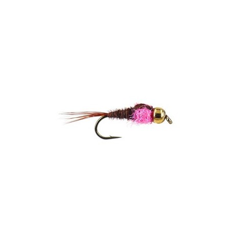 Tungsten Nymphs tg tactical pheasant tail pink collar $3.00