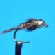 Tungsten Nymphs Tungsten Bead Head Pheasant Tail flashback $3.00