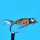 Tungsten Nymphs Tungsten Bead Head Tellico Nymph $3.00