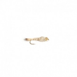 Beaded Nymphs Heraeyra pupa $2.42