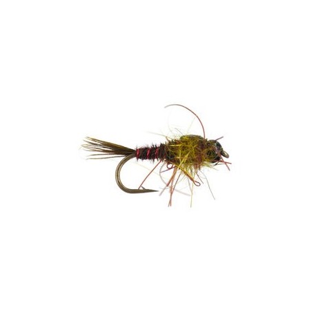 Beaded Nymphs Hills Nymphomaniac Olive $2.42