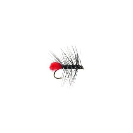 Wets black zulu $2.34